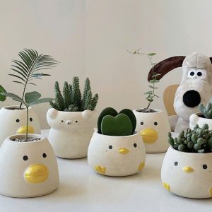 Chậu cây mini